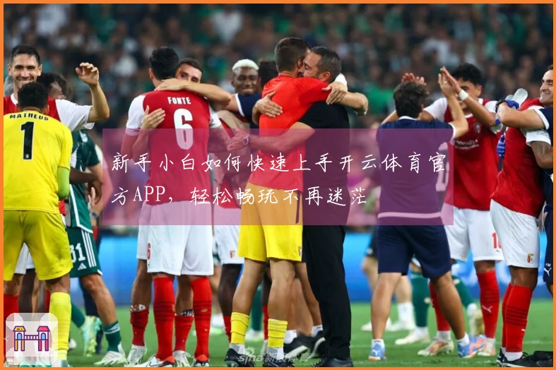新手小白如何快速上手开云体育官方APP，轻松畅玩不再迷茫