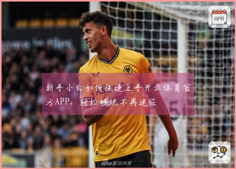 新手小白如何快速上手开云体育官方APP，轻松畅玩不再迷茫